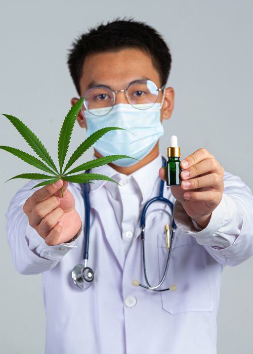 medical doctor holding cannabis leaf and bottle of cannabis oil on white background.